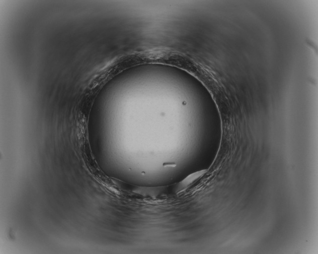 X0000096661349200802191257