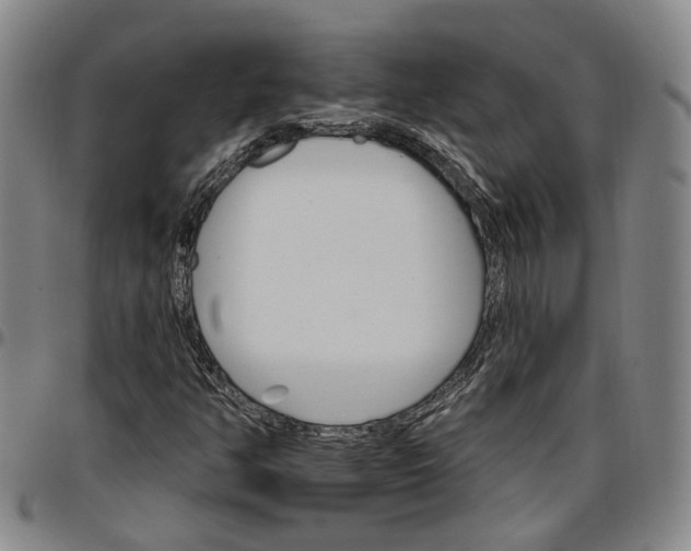 X0000096661350200802191257