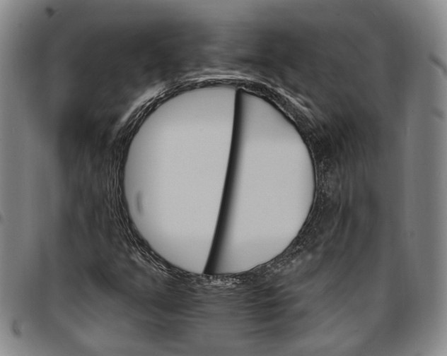 X0000096661351200802191257