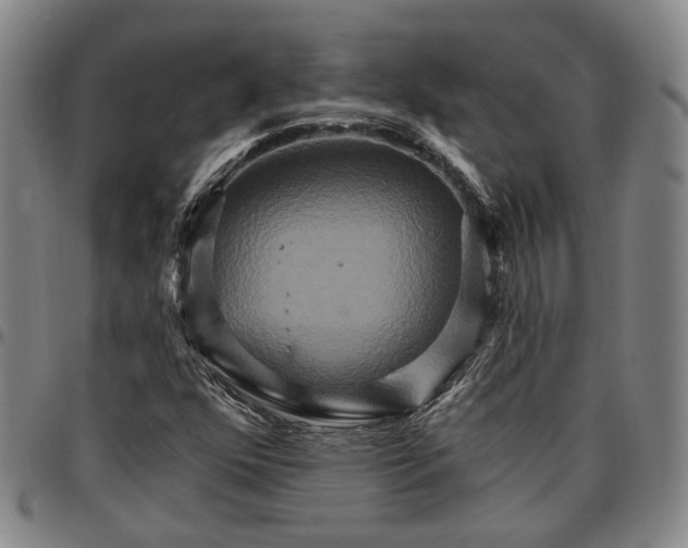 X0000096661352200802191257