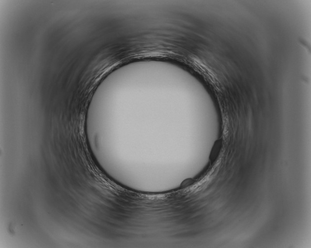 X0000096661353200802191257