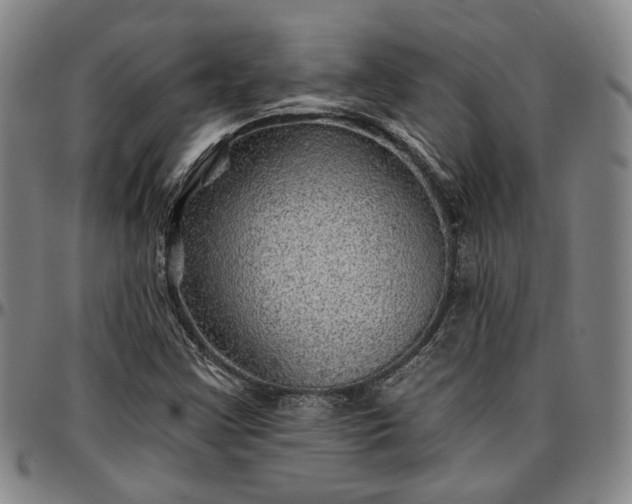 X0000096661355200802191257