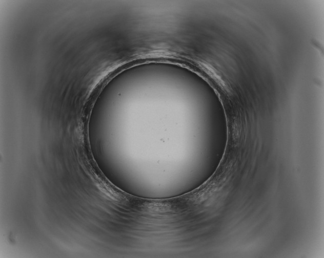 X0000096661356200802191257