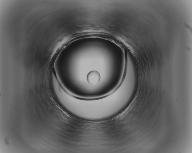 X0000096661357200802191257