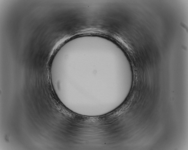 X0000096661358200802191257