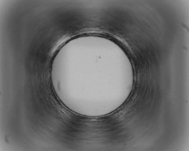 X0000096661359200802191257