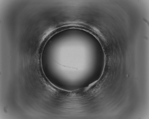 X0000096661360200802191256