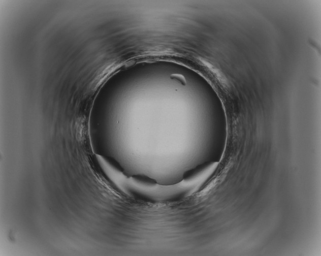 X0000096661361200802191256