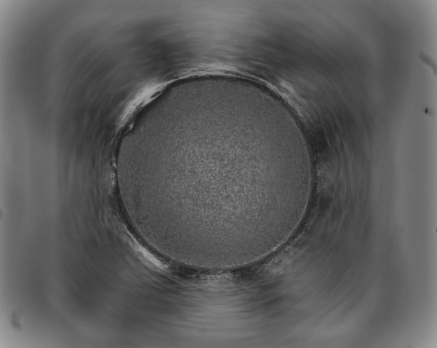 X0000096661363200802191256