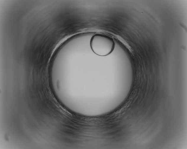 X0000096661364200802191256