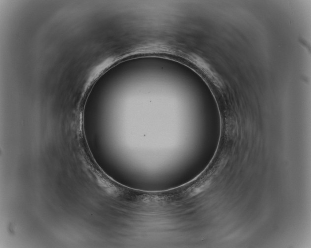 X0000096661366200802191256