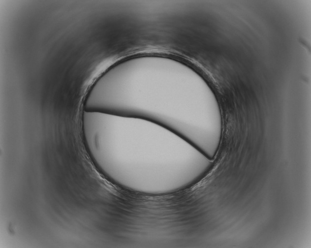 X0000096661367200802191256