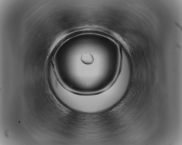 X0000096661368200802191256