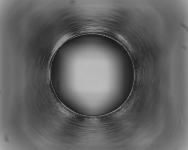 X0000096661370200802191256