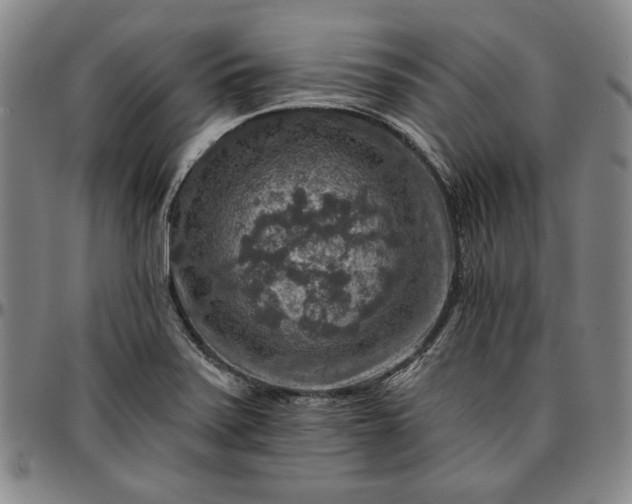 X0000096661371200802191256