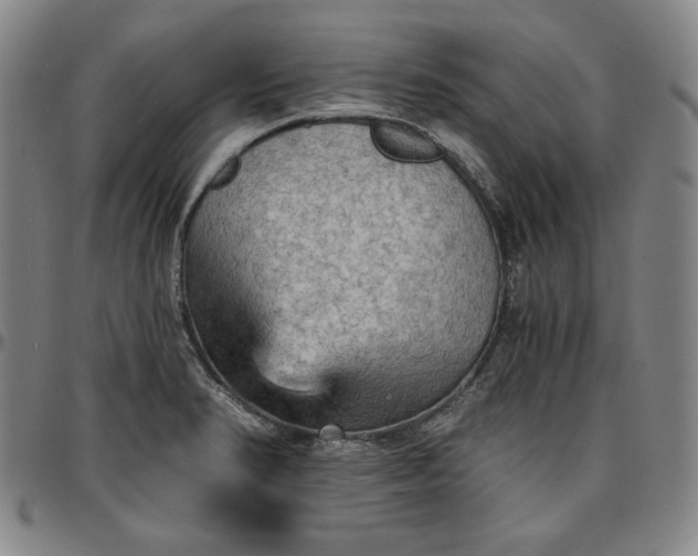 X0000096661374200802191256