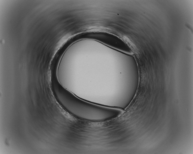 X0000096661376200802191256