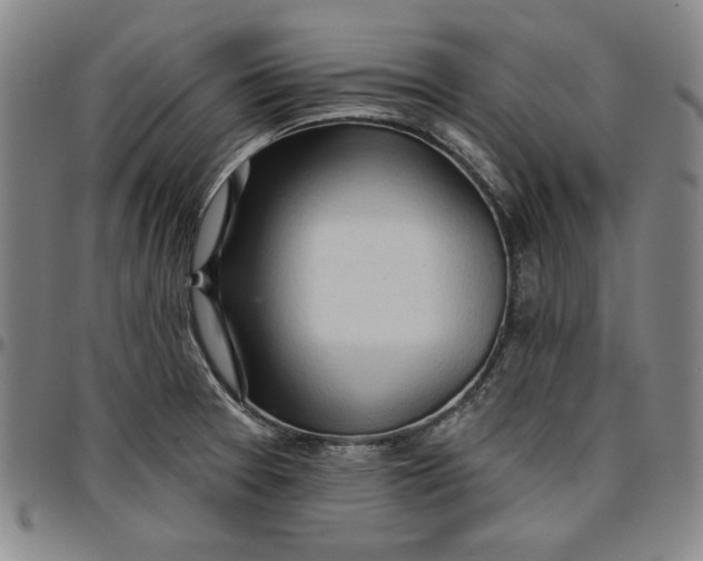 X0000096661377200802191256