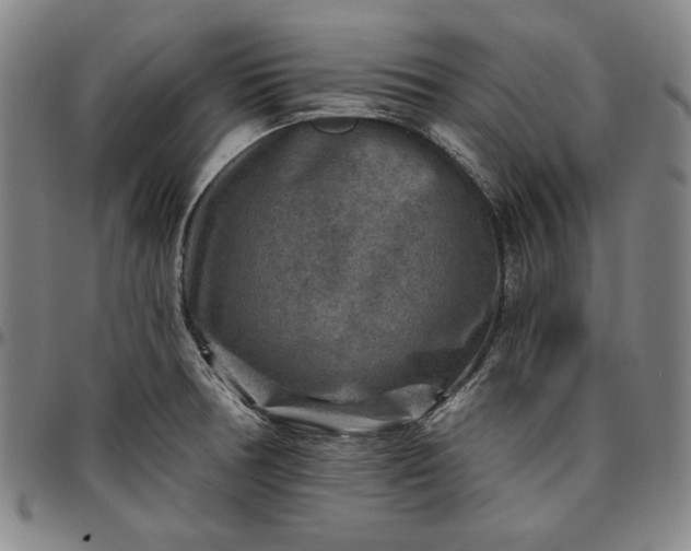 X0000096661378200802191256