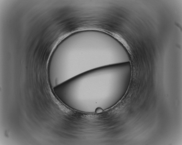 X0000096661380200802191256