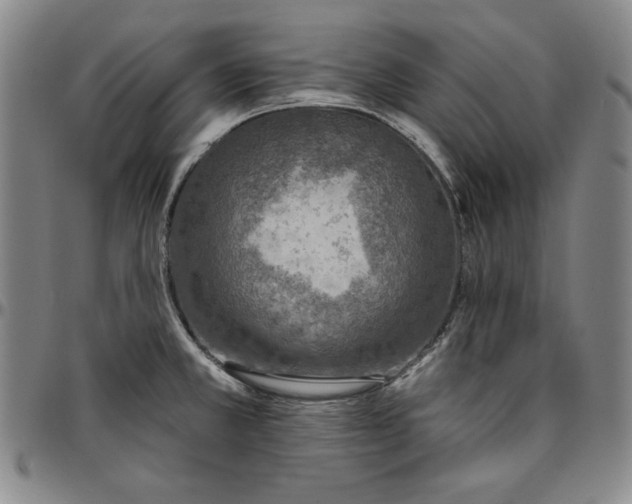 X0000096661381200802191256