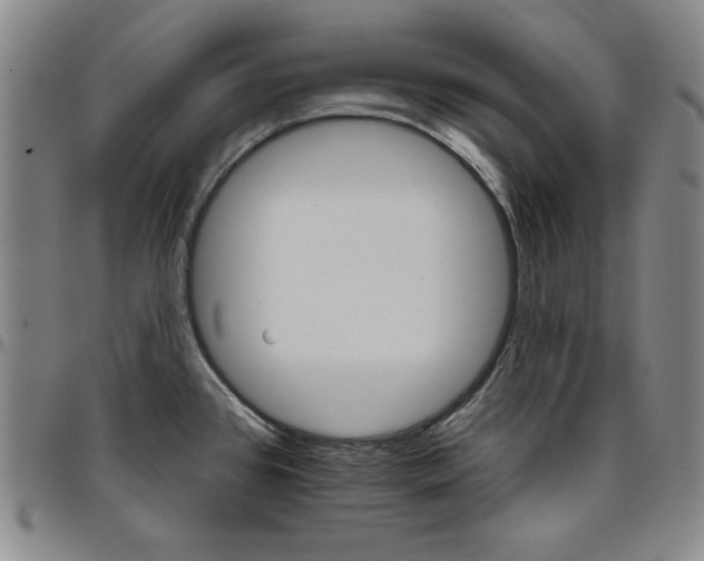 X0000096661384200802191256