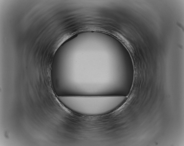 X0000096661385200802191256