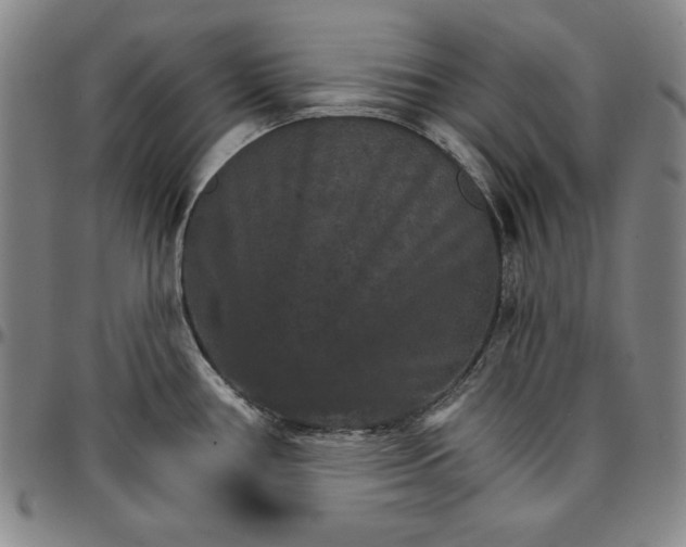 X0000096661386200802191256