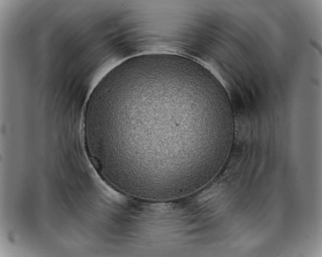 X0000096661387200802191256