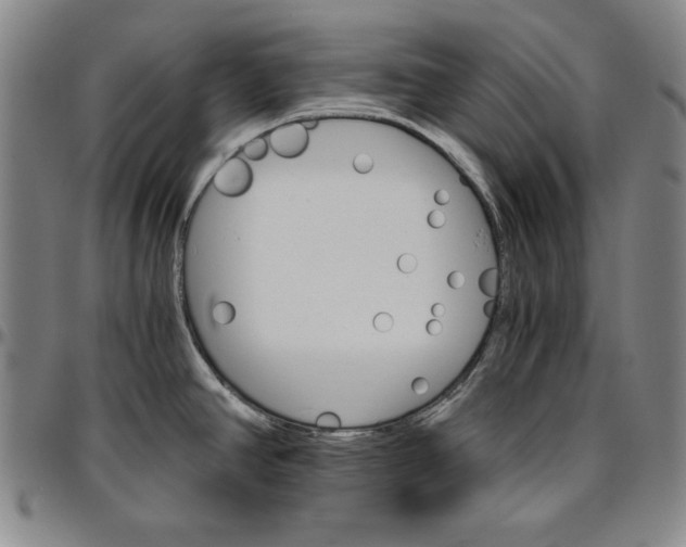 X0000096661390200802191256