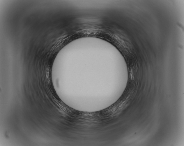 X0000096661396200802191255