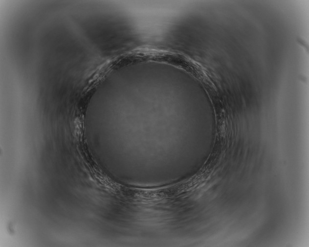 X0000096661397200802191255