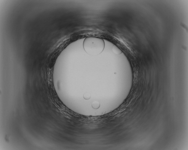 X0000096661399200802191255