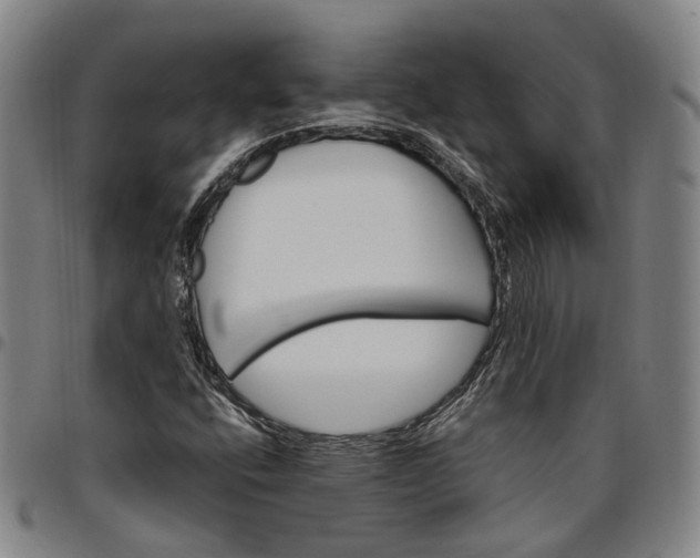 X0000096661400200802191255