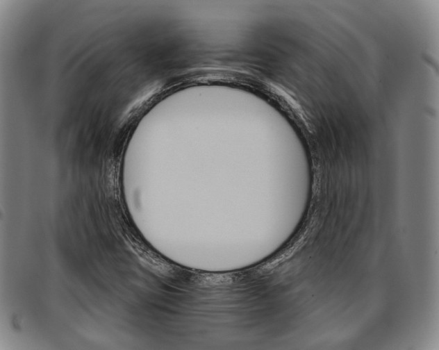 X0000096661403200802191255