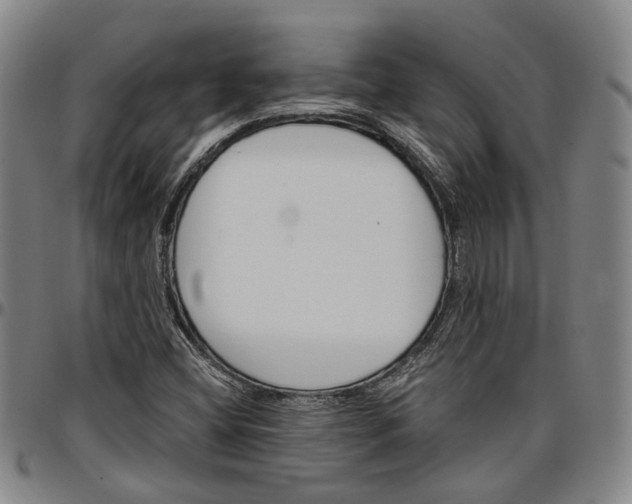 X0000096661404200802191255