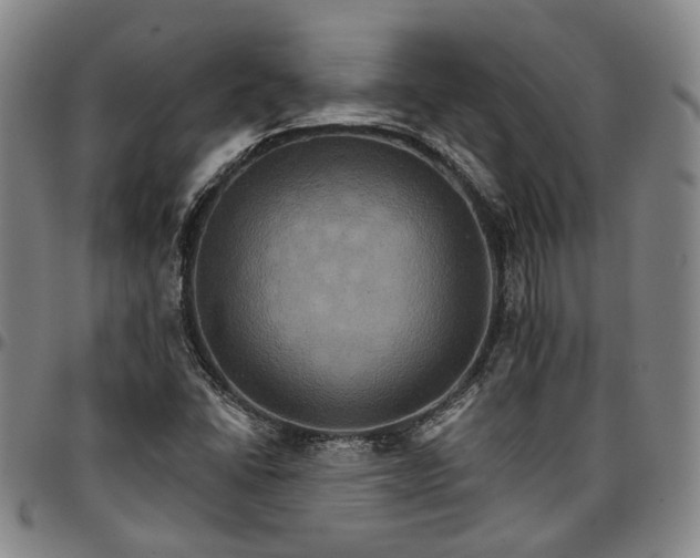 X0000096661406200802191255