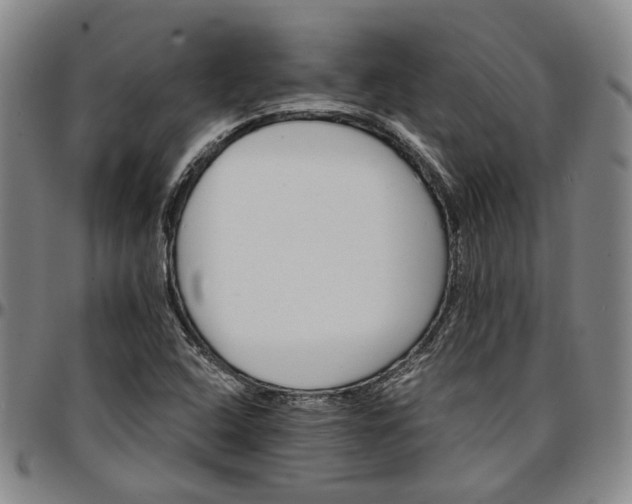 X0000096661408200802191255