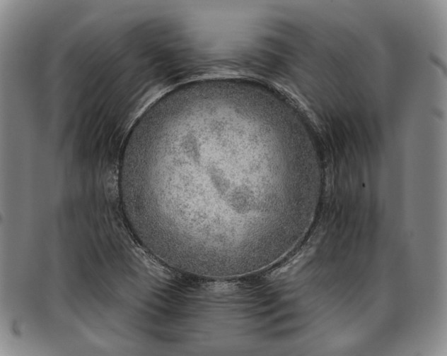 X0000096661409200802191255