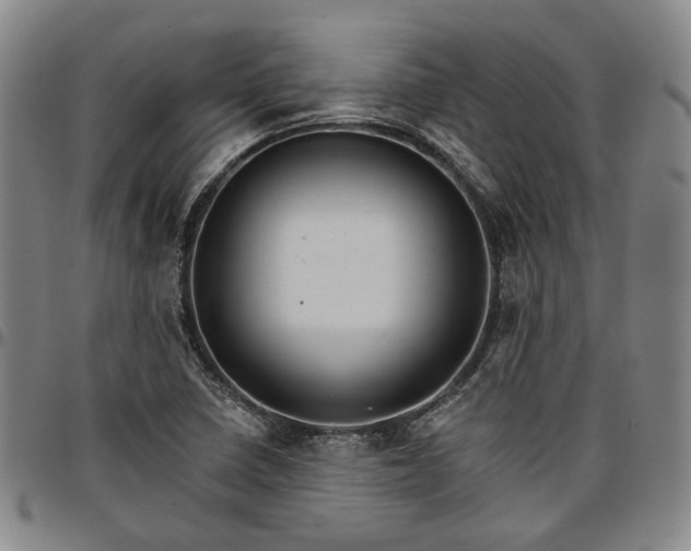 X0000096661410200802191255