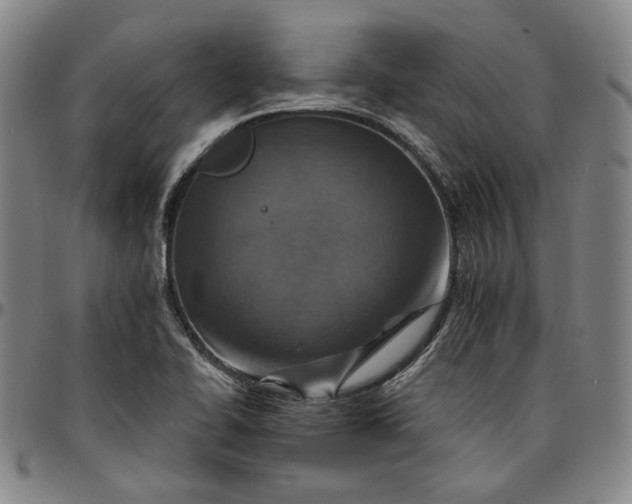 X0000096661414200802191255