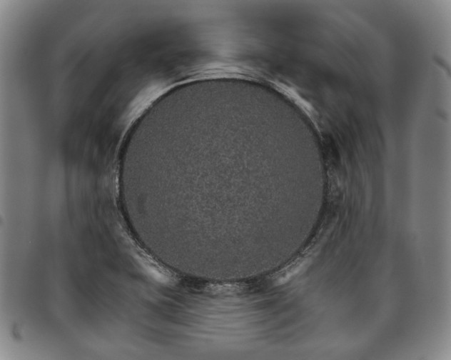 X0000096661415200802191255