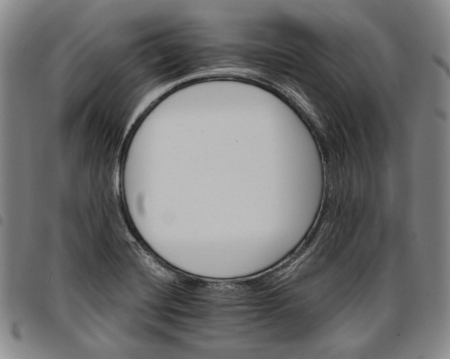 X0000096661420200802191255