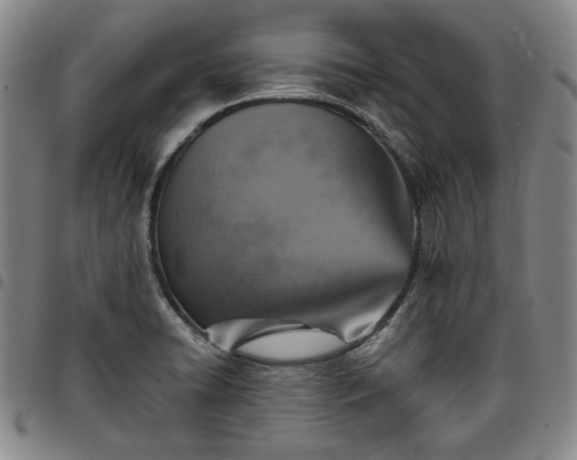 X0000096661422200802191256