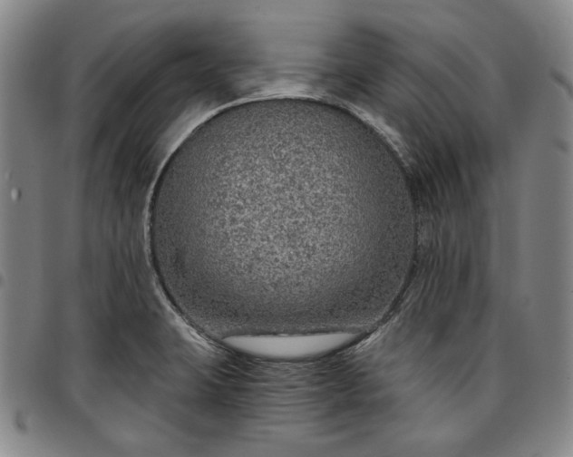 X0000096661423200802191256