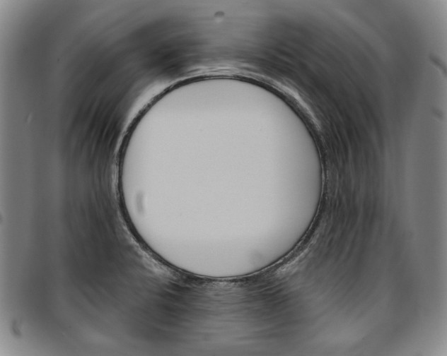 X0000096661424200802191256