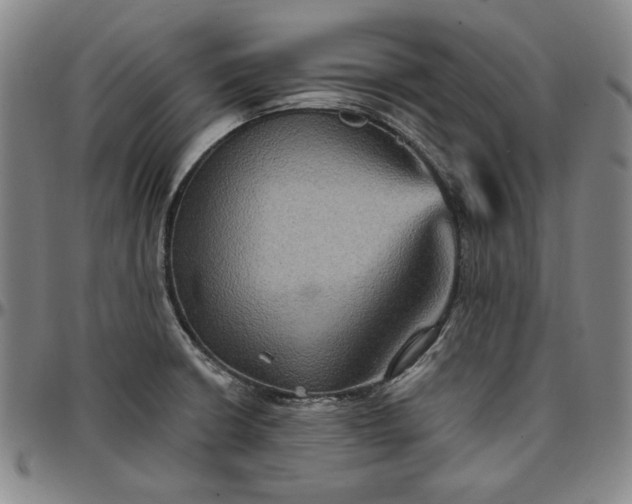 X0000096661426200802191256