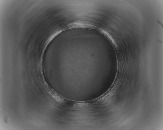 X0000096661427200802191256