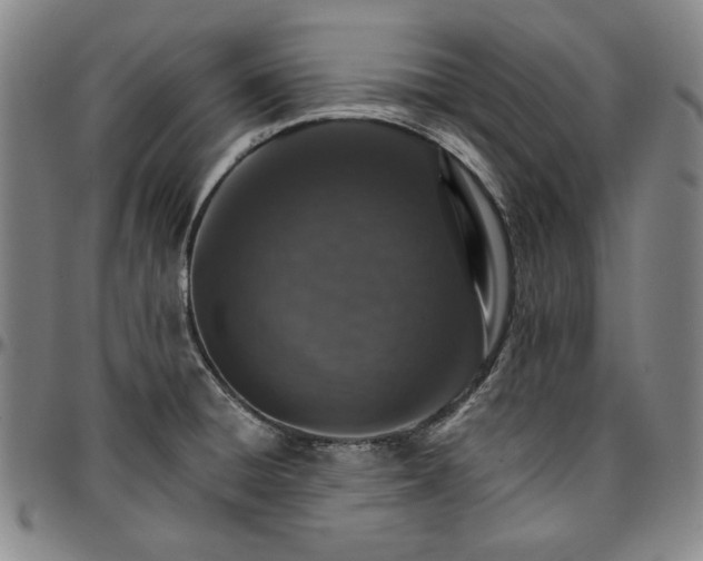 X0000096661428200802191256