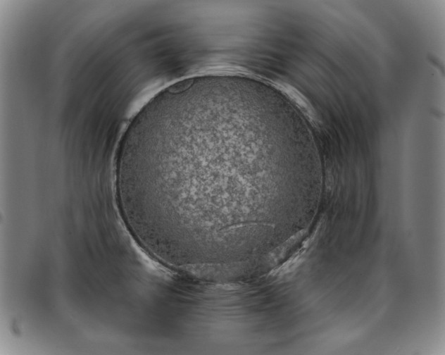 X0000096661430200802191256